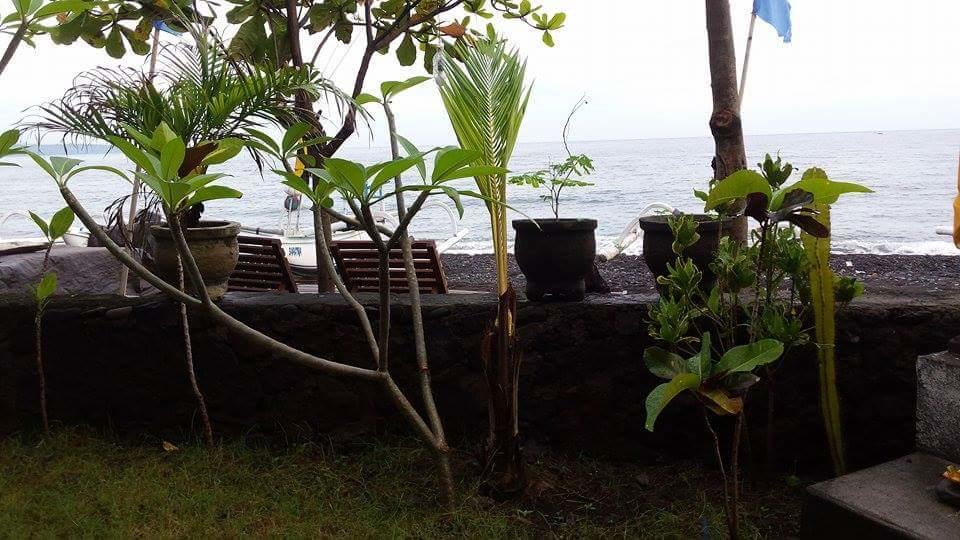 Alur Beach Homestay Αμέντ Εξωτερικό φωτογραφία